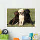 Chien Labrador Retriever Wall Decal