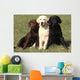 Chien Labrador Retriever Wall Decal