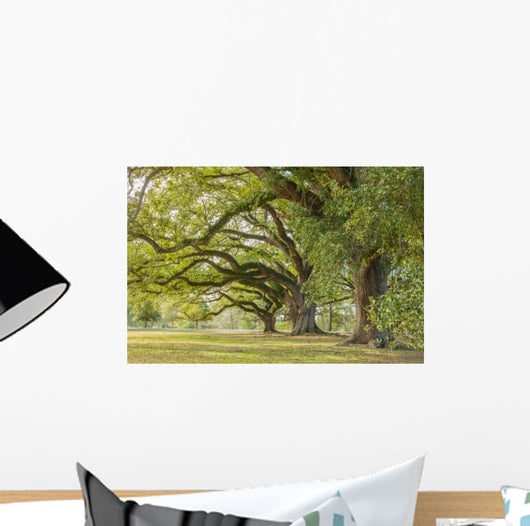 Park Tree Wall Decal