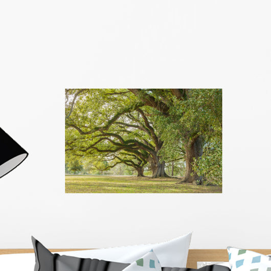 Park Tree Wall Decal