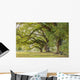 Park Tree Wall Decal