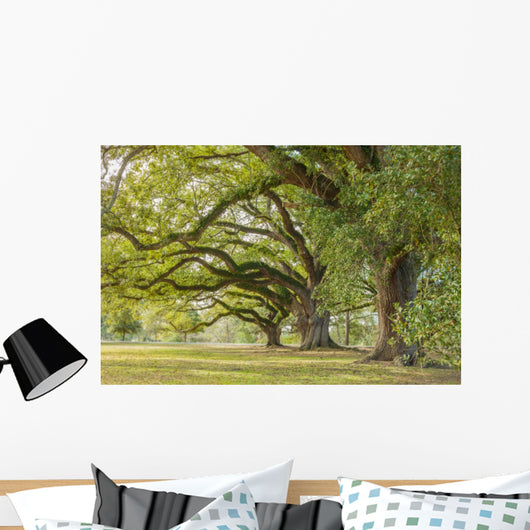 Park Tree Wall Decal