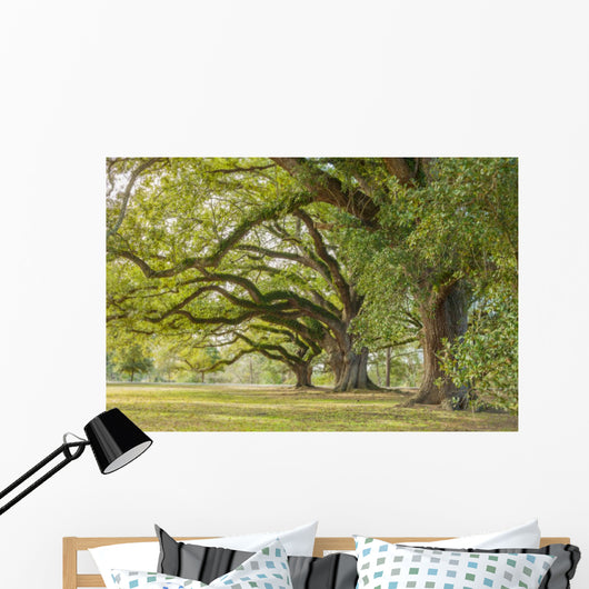 Park Tree Wall Decal