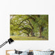 Park Tree Wall Decal