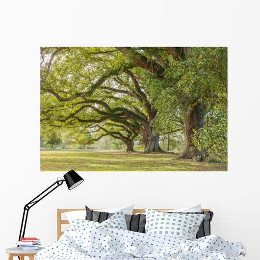 Park Tree Wall Decal