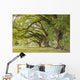 Park Tree Wall Decal