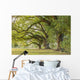 Park Tree Wall Decal