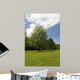 Meadow Wall Decal Design 2