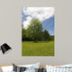 Meadow Wall Decal Design 2