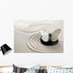 Zen Butterfly Garden Wall Decal