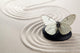 Zen Butterfly Garden Wall Decal