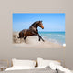 Beautiful Horse Run along Wall Decal