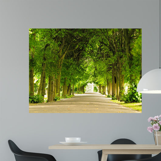 Nature Landscape Garden Pathway Wall Decal