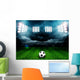 Soccer Ball Field Stadium Wall Decal