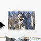 Ancient Sad Cemetery Angel Wall Decal