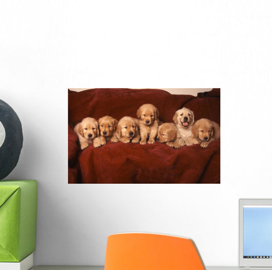 Golden Retriever Dog Wall Decal