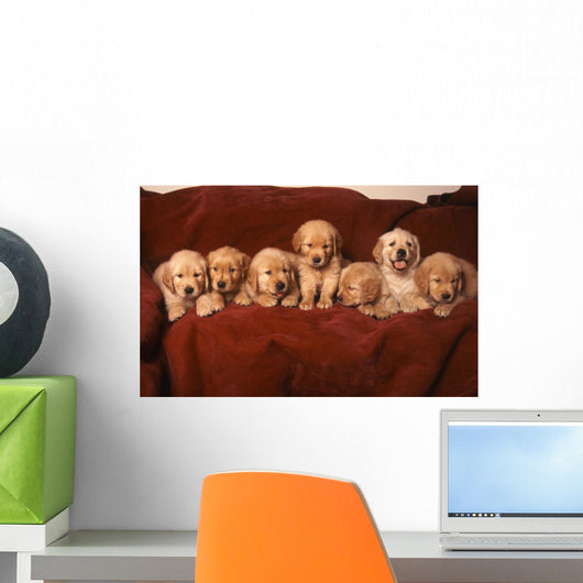 Golden Retriever Dog Wall Decal