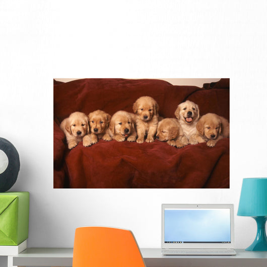 Golden Retriever Dog Wall Decal