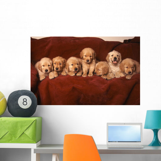 Golden Retriever Dog Wall Decal