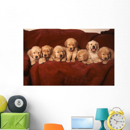 Golden Retriever Dog Wall Decal