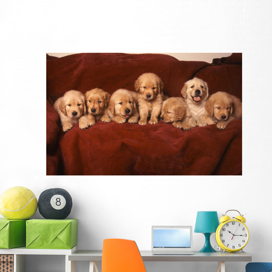 Golden Retriever Dog Wall Decal