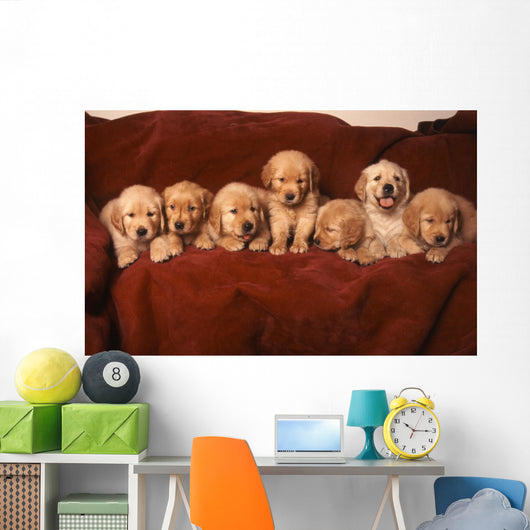 Golden Retriever Dog Wall Decal