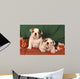 Bulldog Anglais Bouledogue Anglais Wall Decal