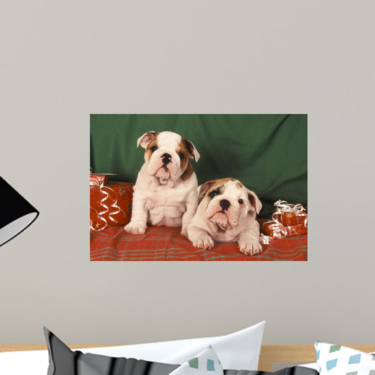Bulldog Anglais Bouledogue Anglais Wall Decal
