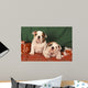 Bulldog Anglais Bouledogue Anglais Wall Decal