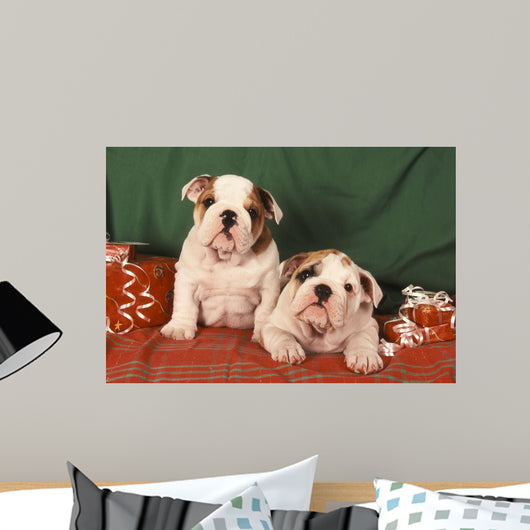 Bulldog Anglais Bouledogue Anglais Wall Decal