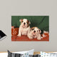 Bulldog Anglais Bouledogue Anglais Wall Decal