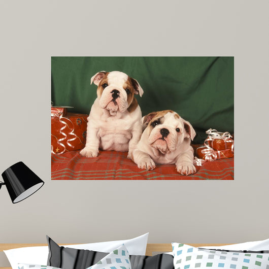 Bulldog Anglais Bouledogue Anglais Wall Decal