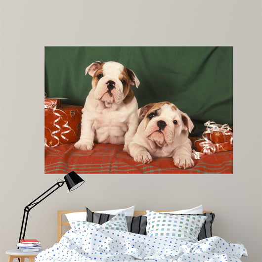 Bulldog Anglais Bouledogue Anglais Wall Decal