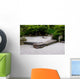 Zen Garden Wall Decal
