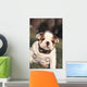 Chien Bulldog Anglais Bouledogue Wall Decal
