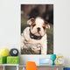 Chien Bulldog Anglais Bouledogue Wall Decal