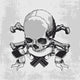Skull and Guns Crossbones Wall Decal