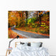 Fall New England Winding Wall Decal