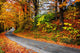 Fall New England Winding Wall Decal