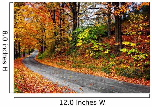 Fall New England Winding Wall Decal