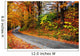 Fall New England Winding Wall Decal