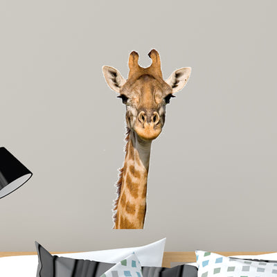 Massai Giraffe Wall Decal shown on a wall