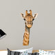 Massai Giraffe Wall Decal