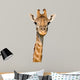 Massai Giraffe Wall Decal