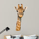 Massai Giraffe Wall Decal