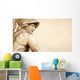 Menelaus Supporting Body Patroclus Wall Decal