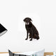 Black Labrador Studio Wall Decal