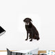 Black Labrador Studio Wall Decal