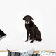 Black Labrador Studio Wall Decal