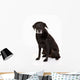 Black Labrador Studio Wall Decal